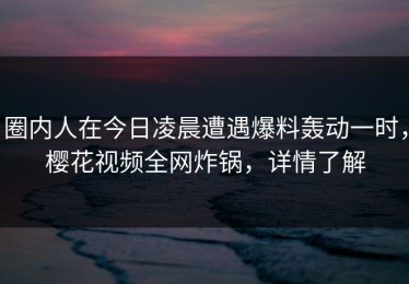 圈内人在今日凌晨遭遇爆料轰动一时，樱花视频全网炸锅，详情了解