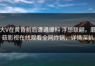 大V在黄昏前后遭遇爆料 浮想联翩，蘑菇影视在线观看全网炸锅，详情深扒