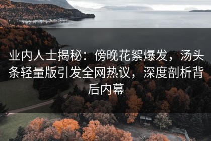 业内人士揭秘：傍晚花絮爆发，汤头条轻量版引发全网热议，深度剖析背后内幕