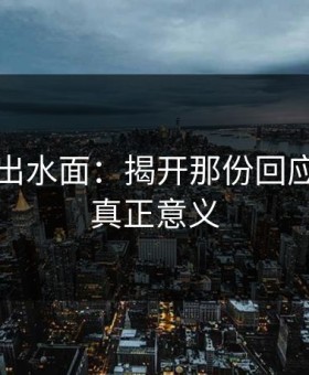 真相浮出水面：揭开那份回应背后的真正意义