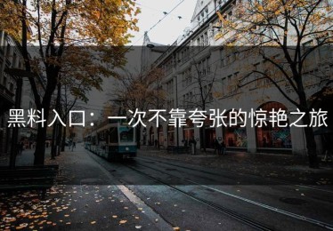 黑料入口：一次不靠夸张的惊艳之旅