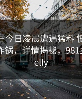 主持人在今日凌晨遭遇猛料 愤怒，91网全网炸锅，详情揭秘，981主持人 kelly