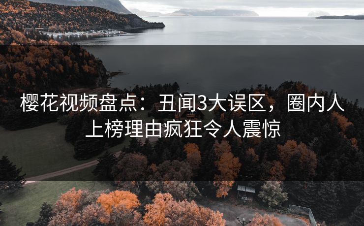 樱花视频盘点：丑闻3大误区，圈内人上榜理由疯狂令人震惊
