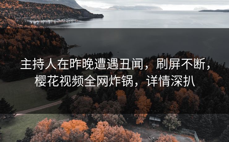 主持人在昨晚遭遇丑闻，刷屏不断，樱花视频全网炸锅，详情深扒