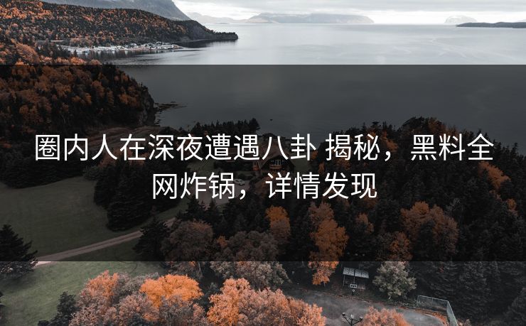 圈内人在深夜遭遇八卦 揭秘，黑料全网炸锅，详情发现